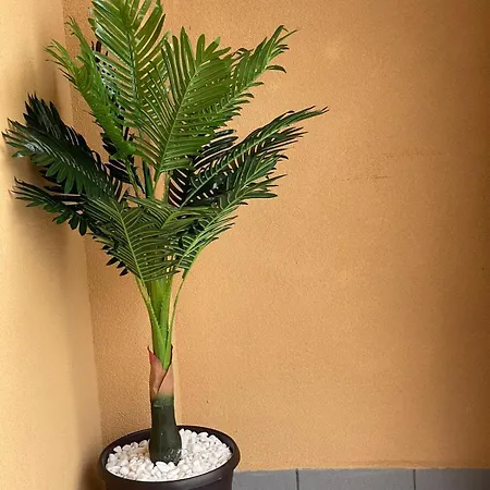 Astoria 5. K.k. Elenite Apartmán Sveti Vlas