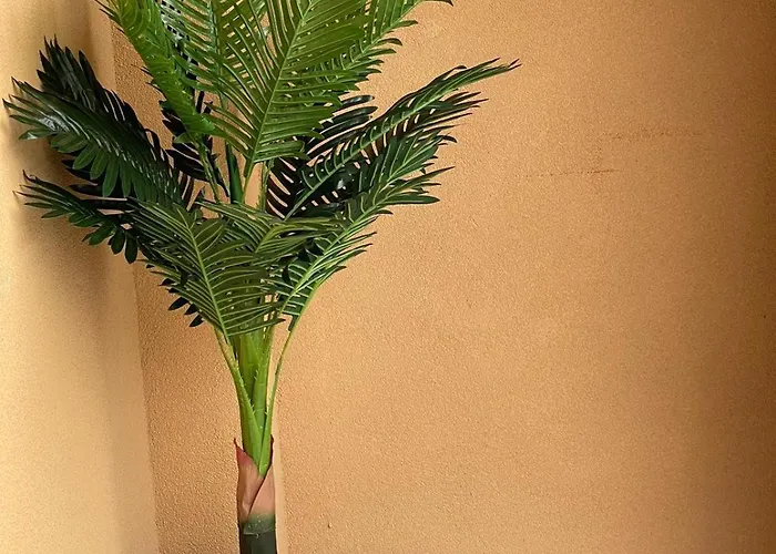 Astoria 5. K.k. Elenite Lägenhet Sveti Vlas